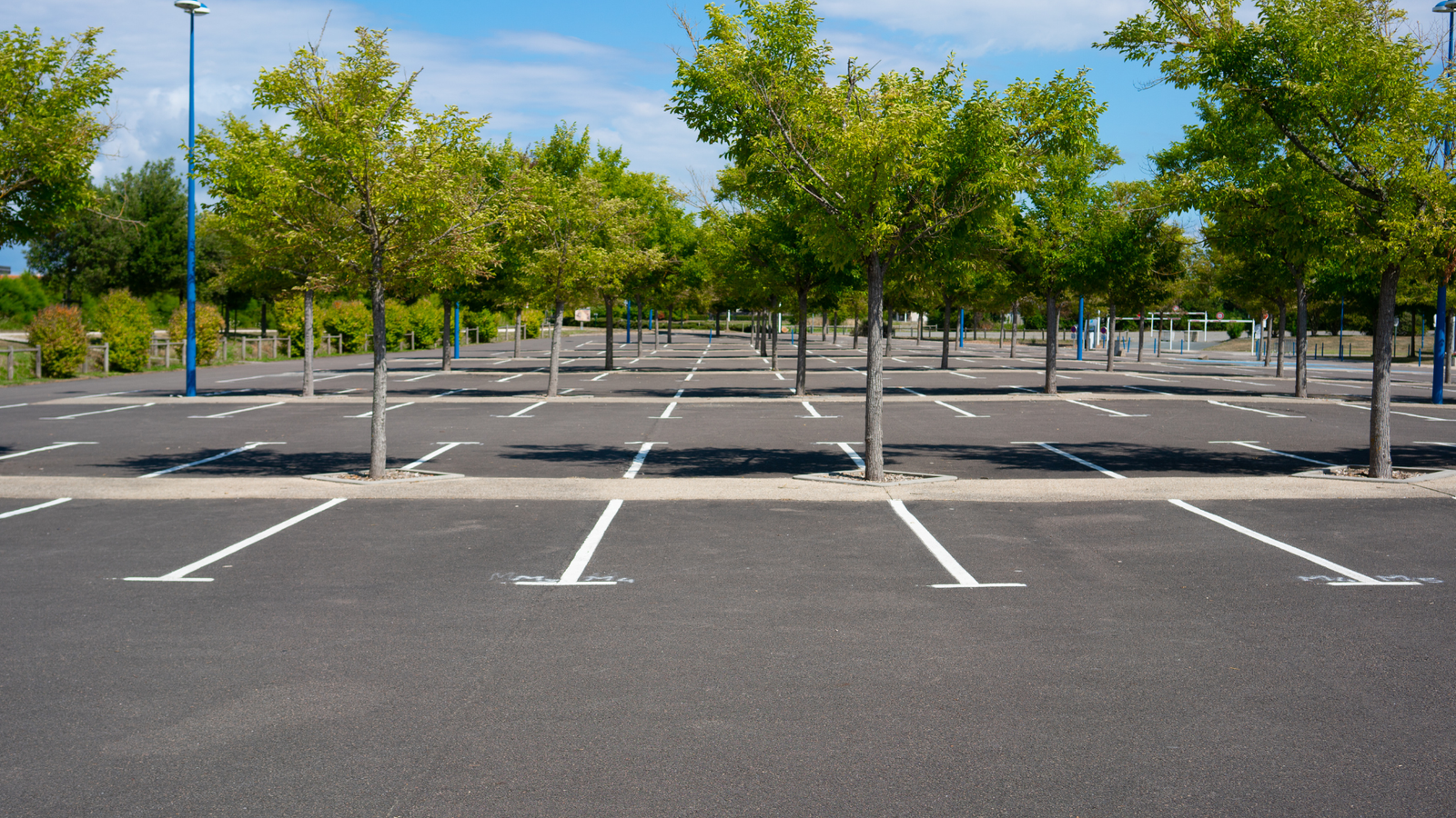 Professional Commercial Concrete Services in Waynedale